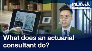 What does an actuarial consultant do | MU Link