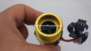 1 Inch Water Flow Sensor Hall Sensor Type Water Sensor
