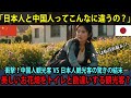 【海外の反応】「中国人観光客ひどい...」欧州の美しい村で起きた悲劇と感動実話【日本称賛】