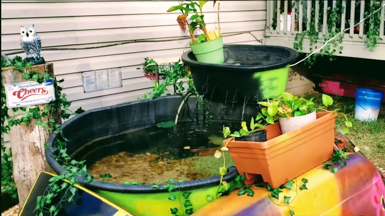 My 300 Gallon Rubbermaid Stock Tank Pond WITH FISH!!! YouTube My 300 Gallon Rubbermaid Stock Tank Pond WITH FISH!!! YouTube