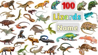 Lizards Vocabulary Ll 100 Lizards Name In English With Pictures Ll 100 Unique Lizards In The World