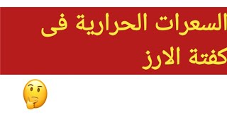 السعرات الحرارية فى كفتة الارز بالصلصة والقيمة الغذائية كمان