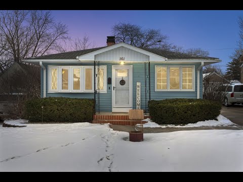 161 S Aldine St, Elgin, IL home video tour
