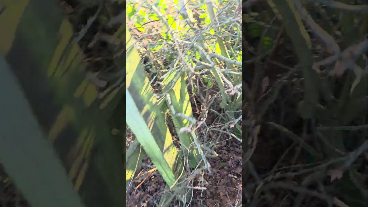 Quick helpful tip whilst out walking 