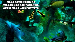 EP 412:NAKA BAWI NARIN SA WAKAS NAG SAMPAHAN SA ARAW NAKA JACKPOT TAYO|DAY SPEARFISHING PHILIPPINES screenshot 2