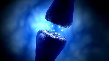 Reflex Action in 60 Seconds | 3D Animation