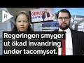 Jimmie Åkesson: Regeringen vill inte begränsa invandringen