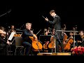 Maximilian haberstock conducts tchaikovsky variations on a rococo theme  with alban gerhardt