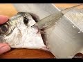 アジの三枚おろしのさばき方 (Japanese jack mackerel)