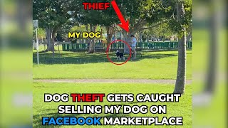 My Dog Went Missing And I Found It On FB Marketplace...(THIS IS WHAT HAPPENED) #shorts