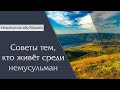 Назратуллах абу Марьям - Советы тем, кто живёт среди немусульман