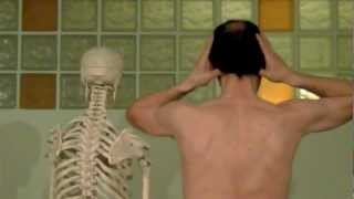 Auto masaje cervical, de cuello, hombros y de trapecios.