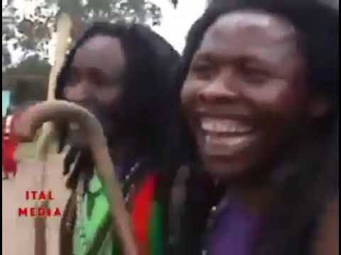 Nyimbo cia Mau Mau Mau Mau songs as narrated by Safarionline TV