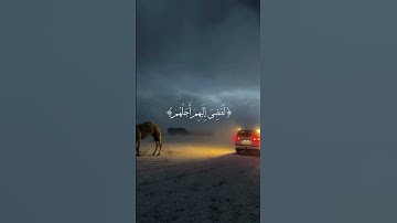 عبدالرحمن مسعد |سوره يونس🌟. #راحة_نفسية #قران_كريم #اكسبلور #لايك