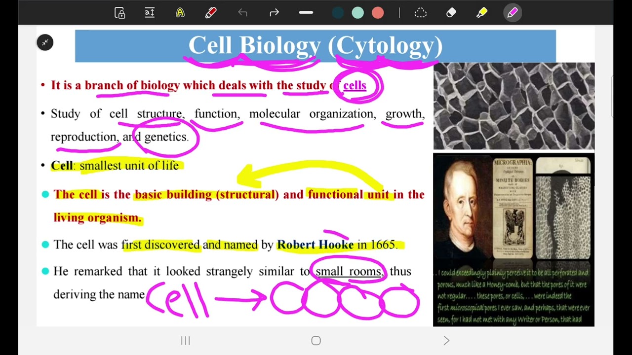 Cell biology 1 part 1 (SGU)