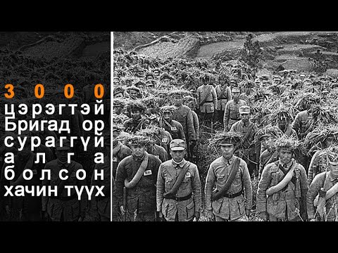 Видео: Хөтөлбөр хаана алга болсон бэ?