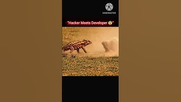 Hacker vs Developer: The Ultimate Showdown