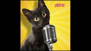 en sevdiğim kanallar.#patitv #pisitv #mayapolarbear