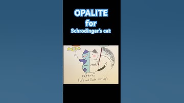 opalite  20251120 Schrodinger