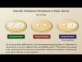 Antibiotic Resistance (Antibiotics - Lecture 9)