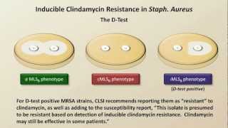 Antibiotic Resistance (Antibiotics - Lecture 9)