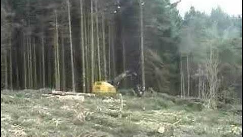 Tigercat with Logmax 12000