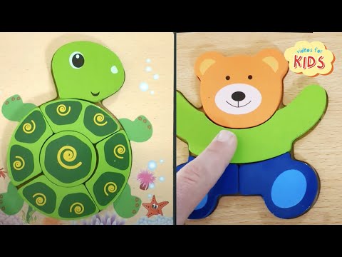 Full Video of Toddler Learning Colors and Shapes w Teddy Bear & Tortoise Turtle Kids Educational Vid