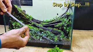 langkah langkah membuat aquascape tema natural