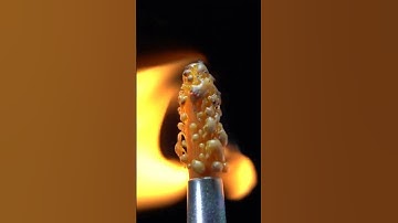 burn the paintbrush #macrovideo #closeup #macro