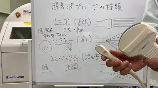 補9)愛玩動物看護師試験　実地の勉強で見落としがちな項目5選