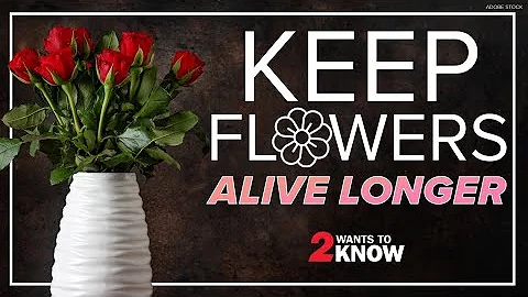 Tips and tricks to keeping flowers alive longer