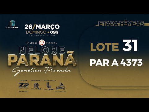 LOTE 31 PAR A4373