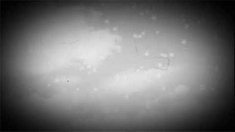 تلاوه من سورة النحل-هزاع البلوشي