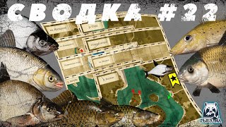 СВОДКА ПО ВОДОЁМАМ №22 | ТРОФЕЙНЫЙ СИНЕЦ, ЁРШ-НОСАРЬ И ЯЗЬ | САЗАН | СИНИЙ БУФФАЛО | ЛЕЩ