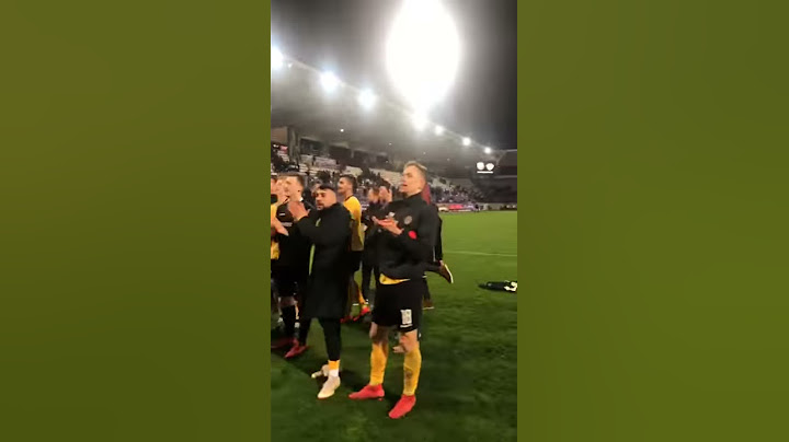 Dynamo Dresden Fans feiern Mannschaft nach Sieg in Aue