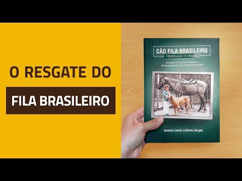 O resgate do Fila Brasileiro