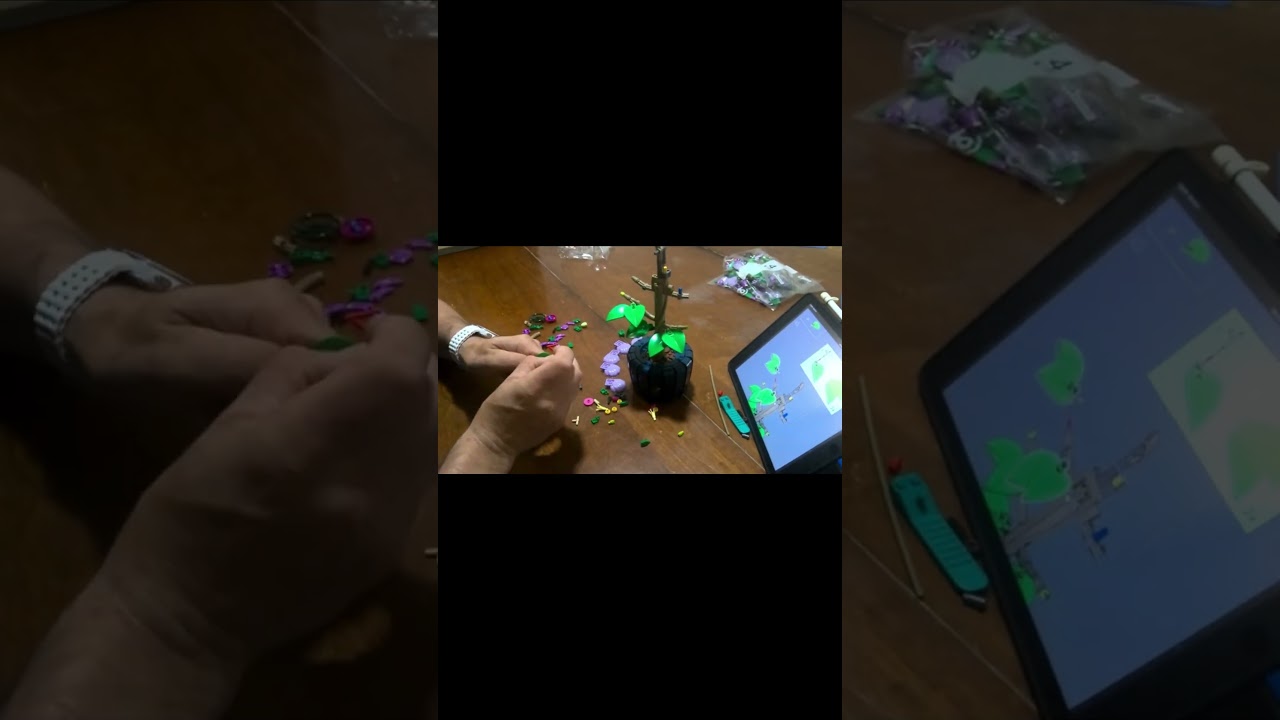 LEGO Speed Build - Hibiscus (10368) | Botanical Collection | 