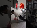 Firm chest, toned arms, strong abs, firm legs &amp; glutes.#Chest #Arms #Core #Legs #Glutes
