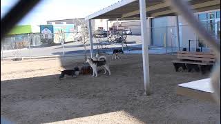 102732 video D 2 8 2026  BABY 102732 in playgroup