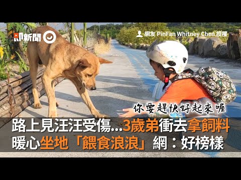 路上見汪汪受傷...3歲弟衝去拿飼料　暖心坐地「餵食浪浪」網：好榜樣