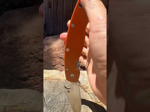 Sunday Spyderco: Military in Rex 45  