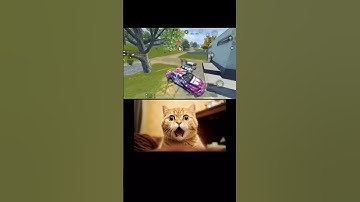 Chasing gone wrong🤣🤣🤣 #cod #codm #callofduty