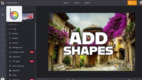 How to Add Shapes in Befunky 2025?