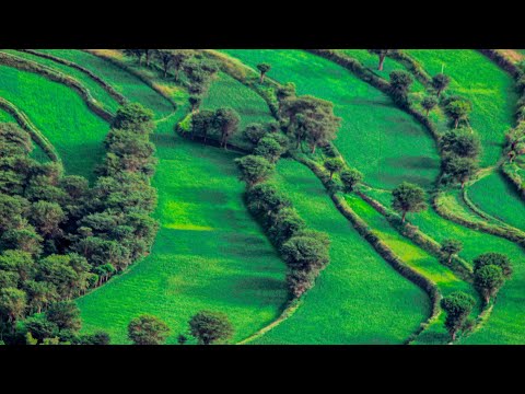 اغنية ابو بكر سالم يا مسافر ع البلاد مع فيديو يوضح روعة جمال مدينة إب الخضراء