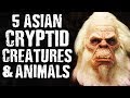 5 Asian CRYPTID CREATURES & ANIMALS
