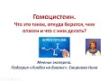 Гомоцистеин. Что это такое, откуда берется, чем опасен и что с ним делать?