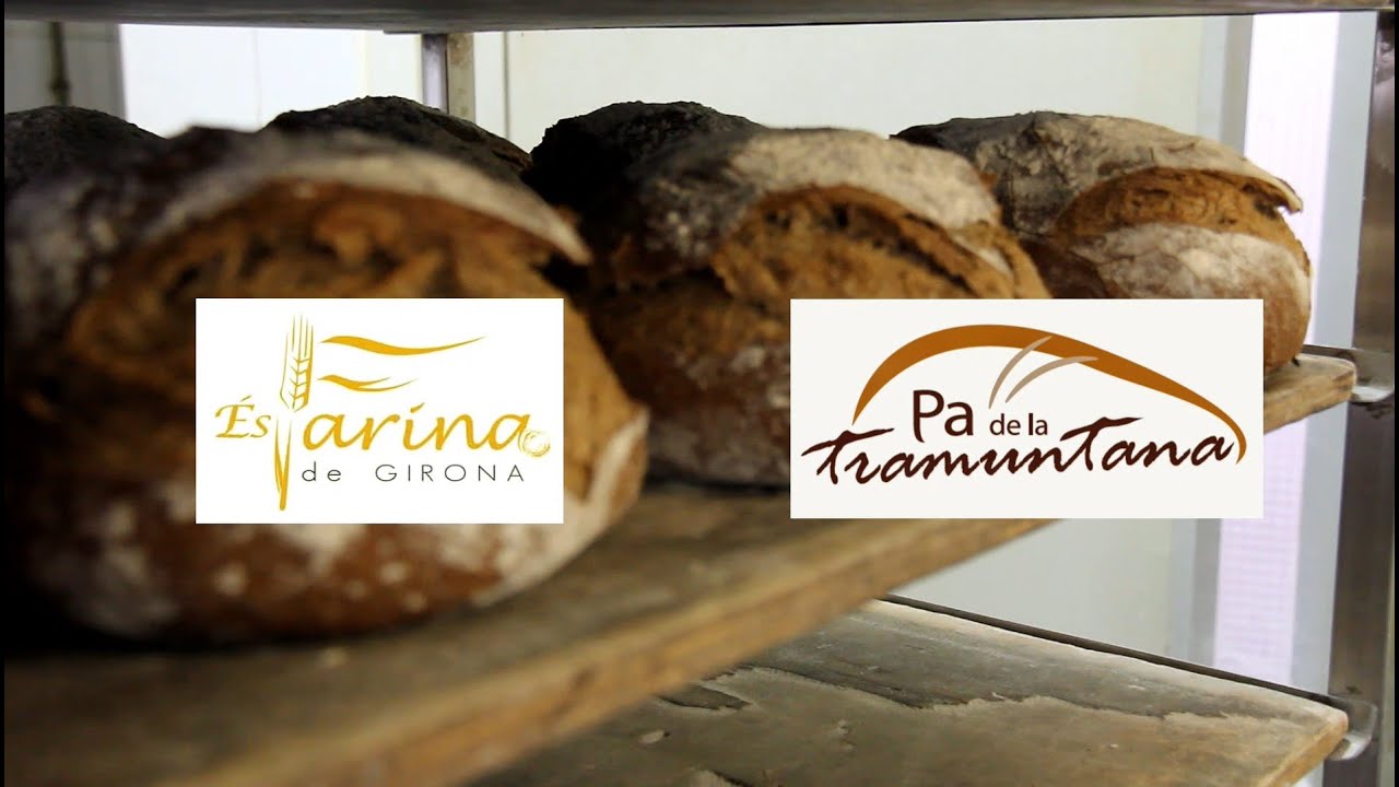 «És Farina de Girona» Campanya 2019-20