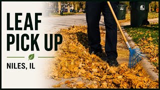 Leaf Pickup PSA | Niles, Illinois | 1 Minute | 2018