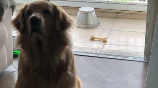 IMG 3913