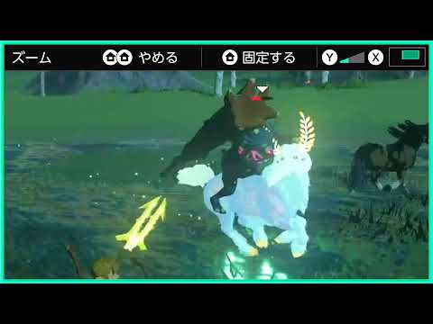 【生ブレワイ】依頼を受けて、サイ・ウートの祠のシーソーで遊ぶ生放送【ドリカラ】【ゼルダの伝説ブレスオブザワイルド,BotW,ゼル伝】